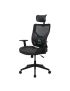 ONEX GE300 Ergonomic Gaming Office Chair